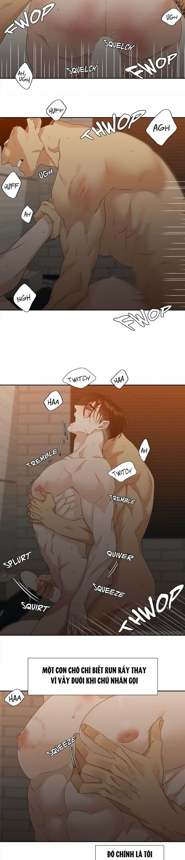 xúc cảm điên cuồng chapter 11 14
