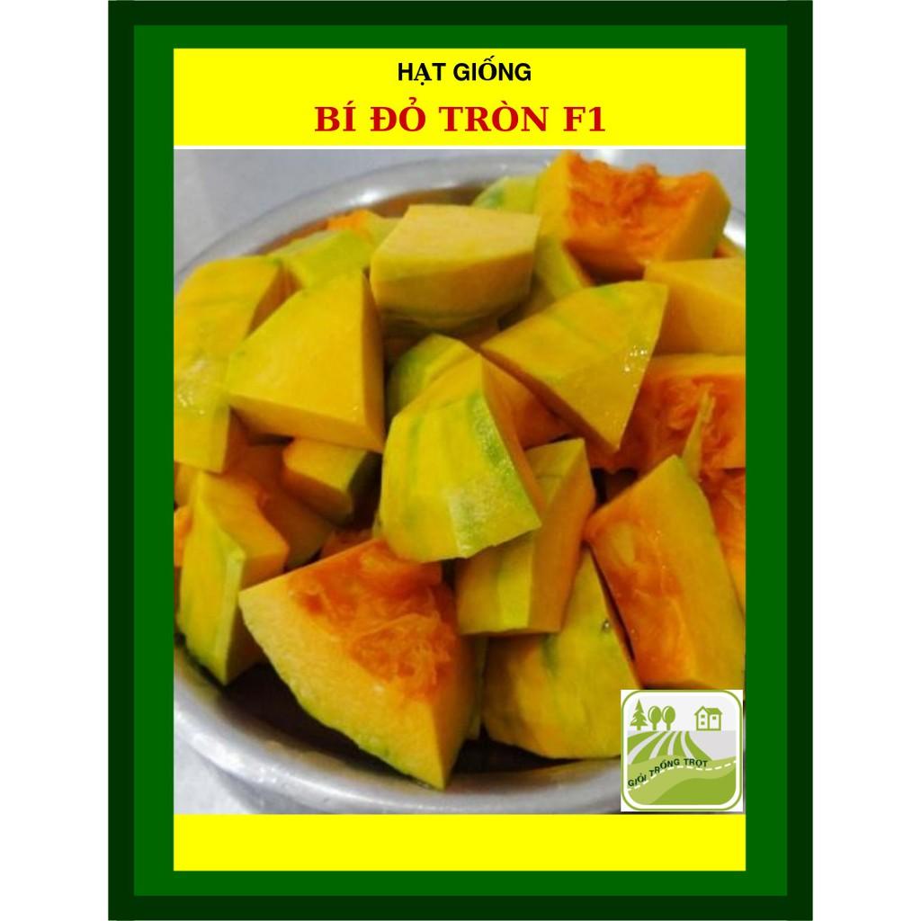 Hạt Giống Bí Đỏ Tròn F1 2gram