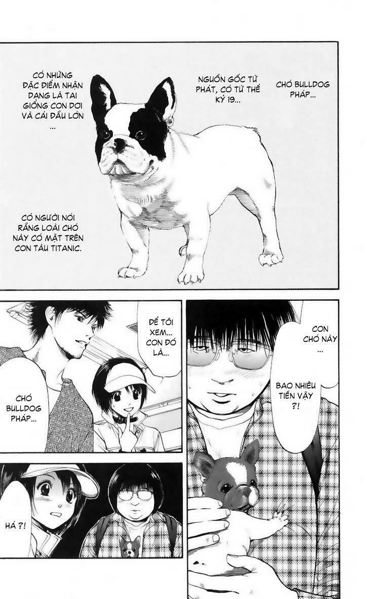 cô nàng yêu chó chapter 10 2