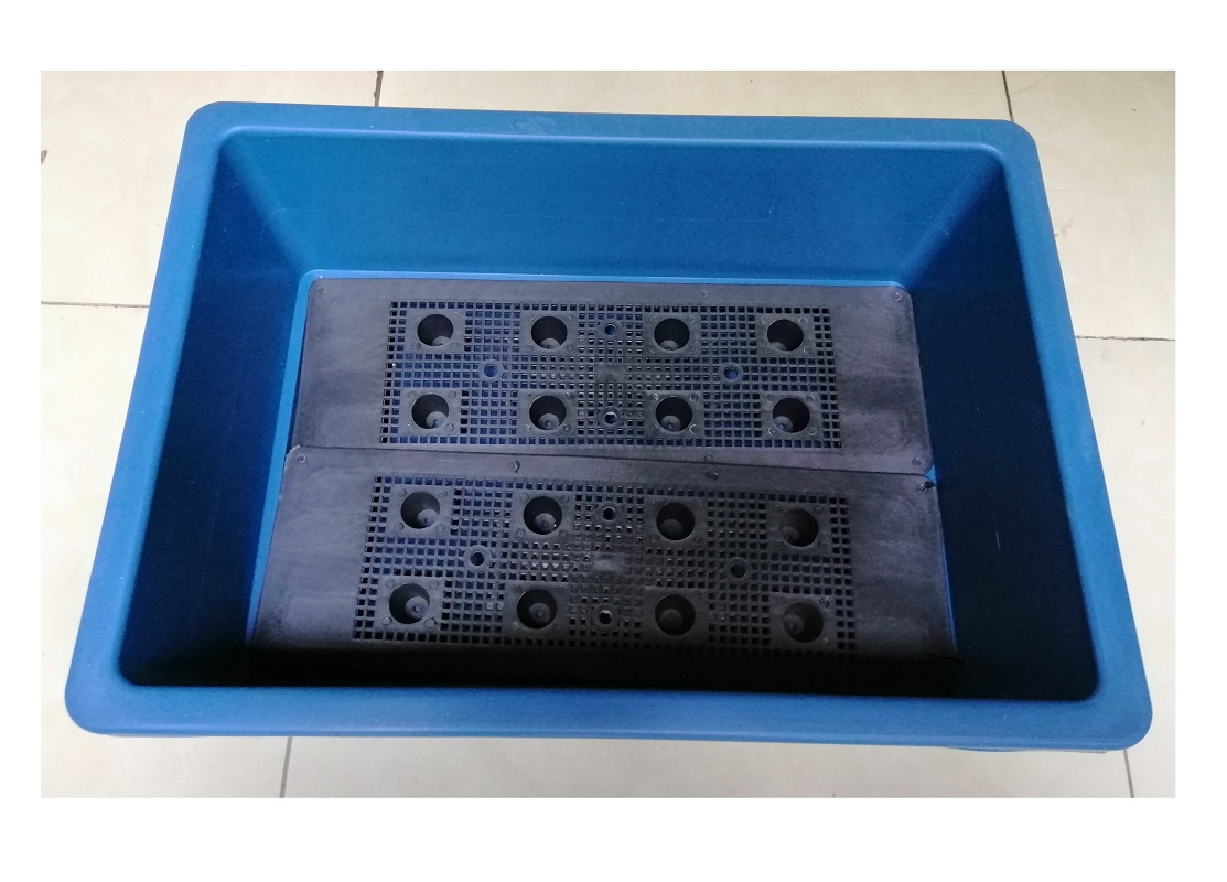 10 KHAY NHỰA TRỒNG RAU KÍCH THƯỚC 47X33X16CM - MÀU XANH