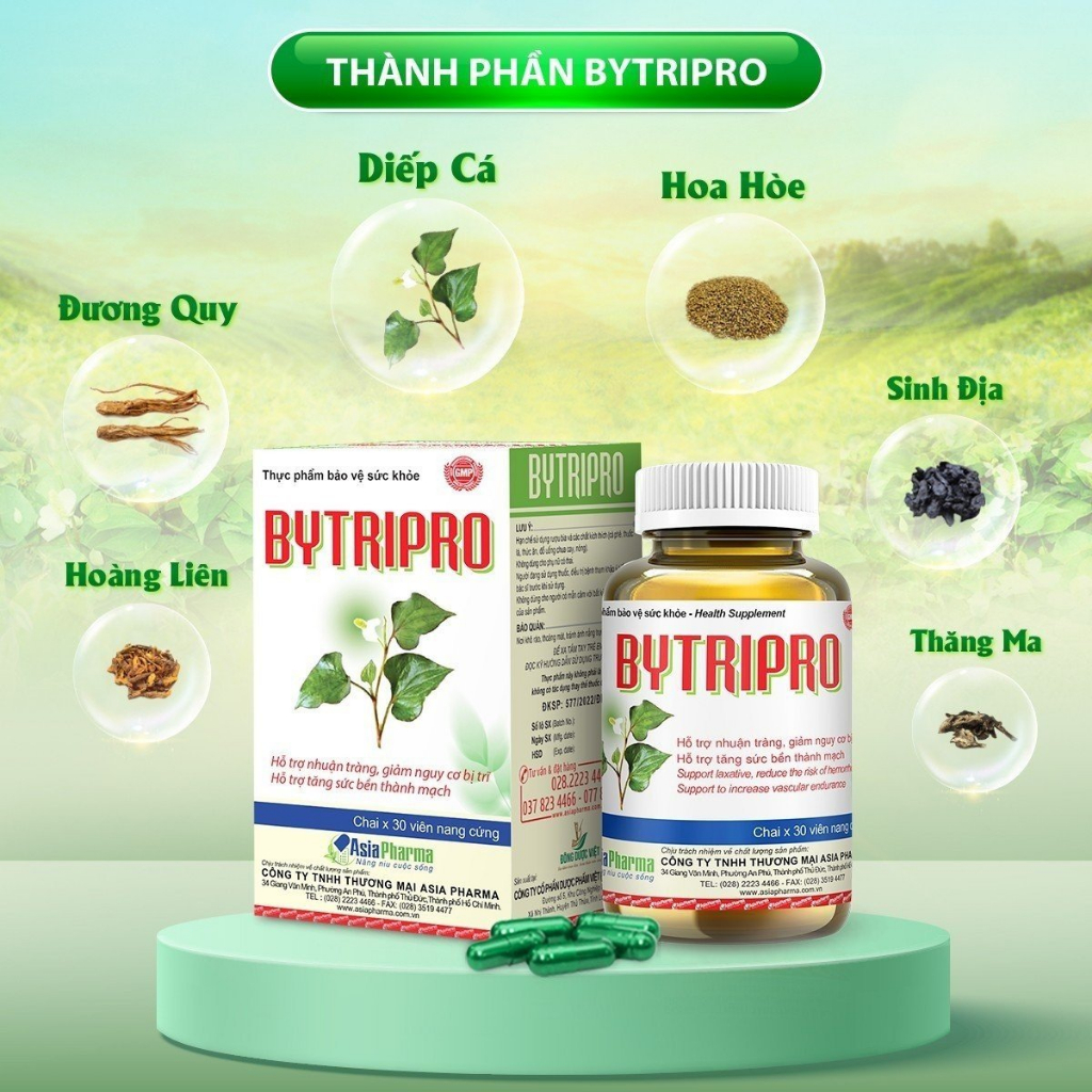 [COMBO 12 HỘP] Viên uống tiêu trĩ, giảm táo bón nhuận tràng Bytripro Asia Pharma hỗ trợ cho người bị trĩ - Hộp 30 viên