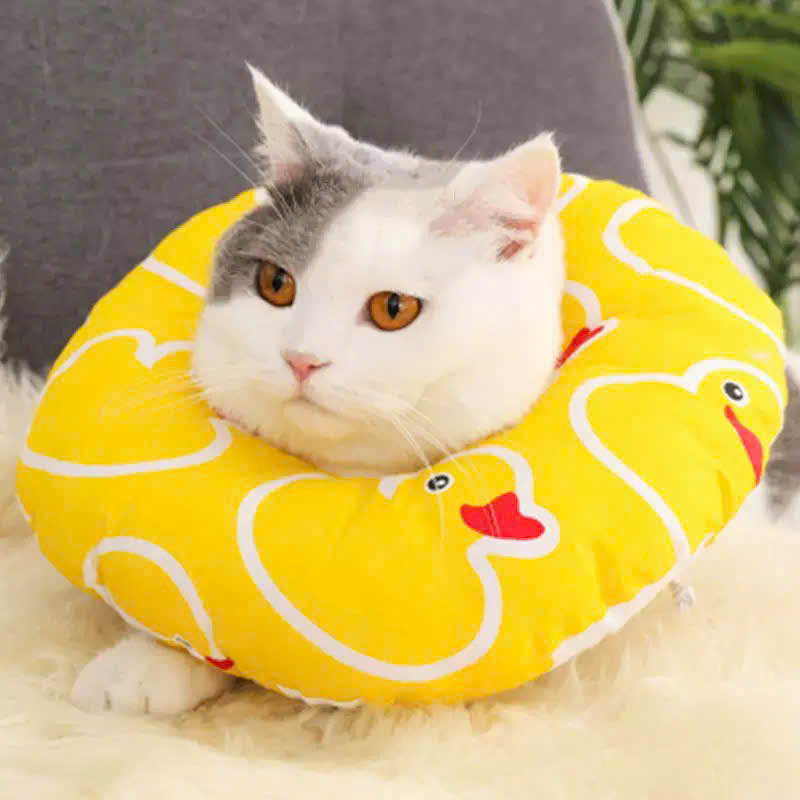 VÒNG CỔ THÚ CƯNG VÒNG CỔ LOA CHỐNG LIẾM CHO THÚ CƯNG TỪ 0.1-8KG DÀNH CHO CHÓ MÈO VÀ THỎ