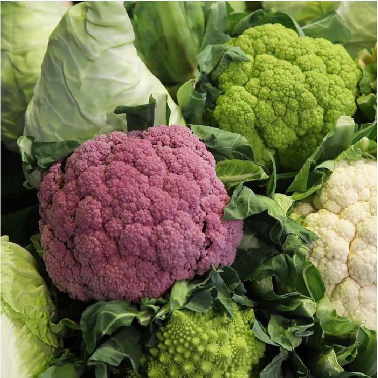 Hạt giống súp lơ các loại dể trồng f1-1 gói 1 gram-tặng kèm gói phân bón lót