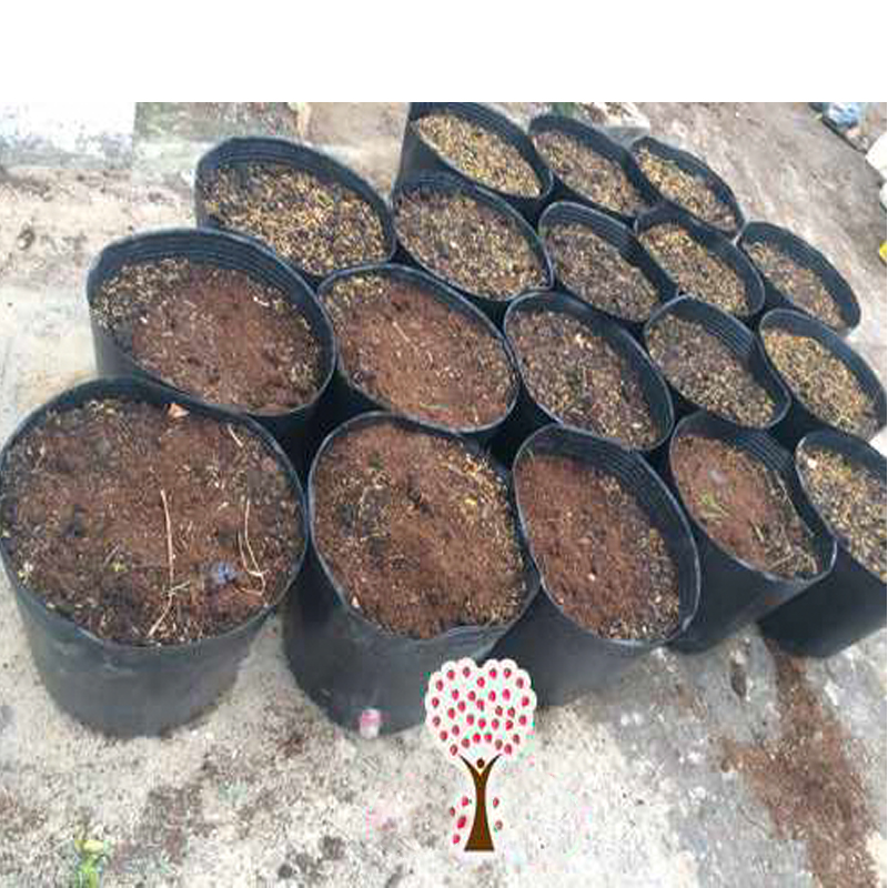 100 Chậu nhựa C7 16x13cm trồng cây ăn trái và hoabền 10 năm-77210