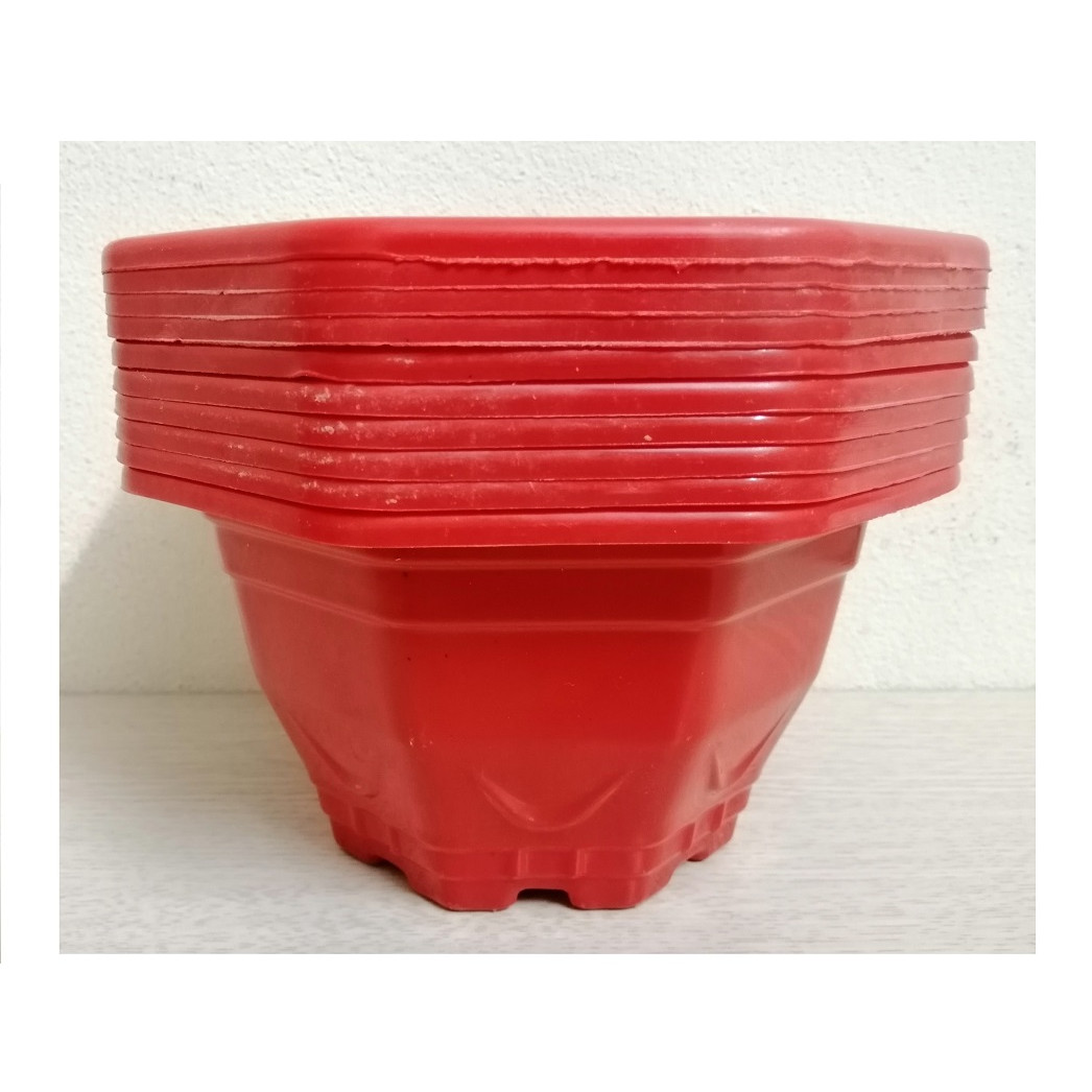 ComBo 10 Chậu Nhựa Trồng Cây Bát Giác Mini Kích Thước 17x17x10Cm