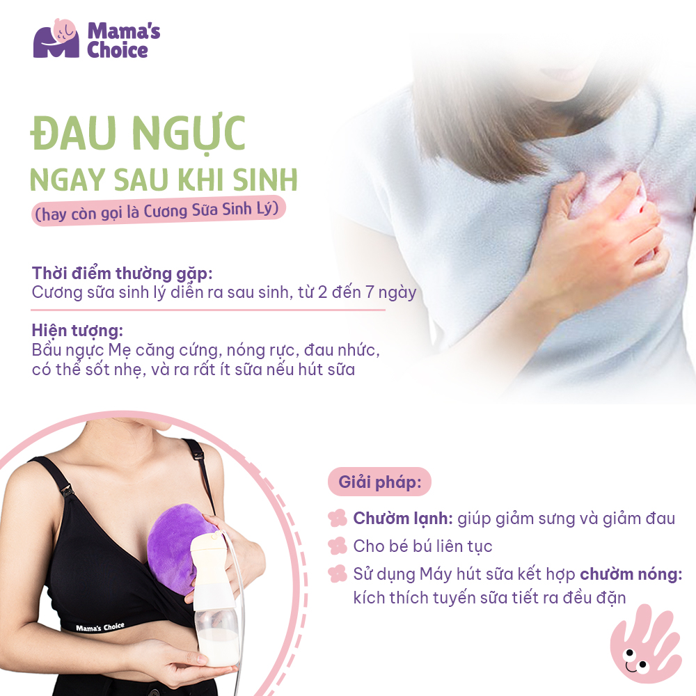 Túi Chườm Ngực Mama's Choice, Túi Chườm Nóng Lạnh Giúp Mẹ Thông Tắc Tia Sữa, Kích Sữa, Giảm Đau Ti Hiệu Quả