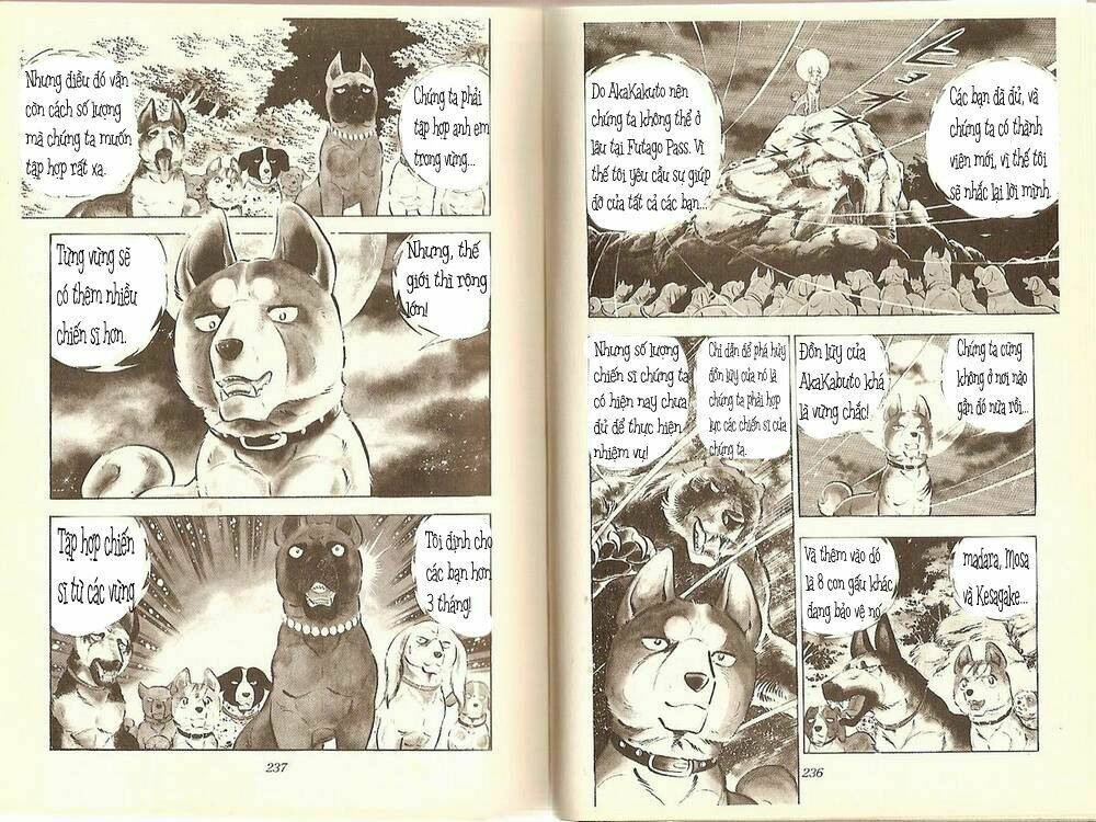 chú chó có nghĩa - ginga nagareboshi gin chapter 11 8