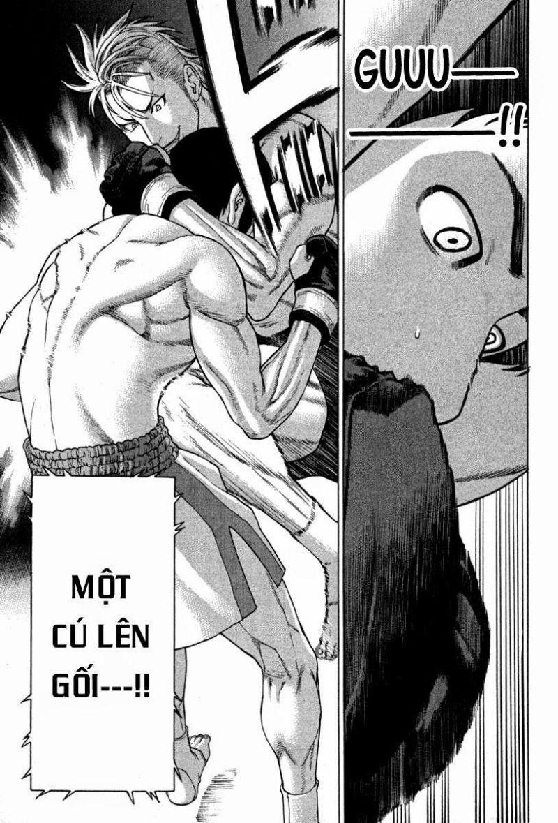 karate shoukoushi kohinata minoru chapter 188 15