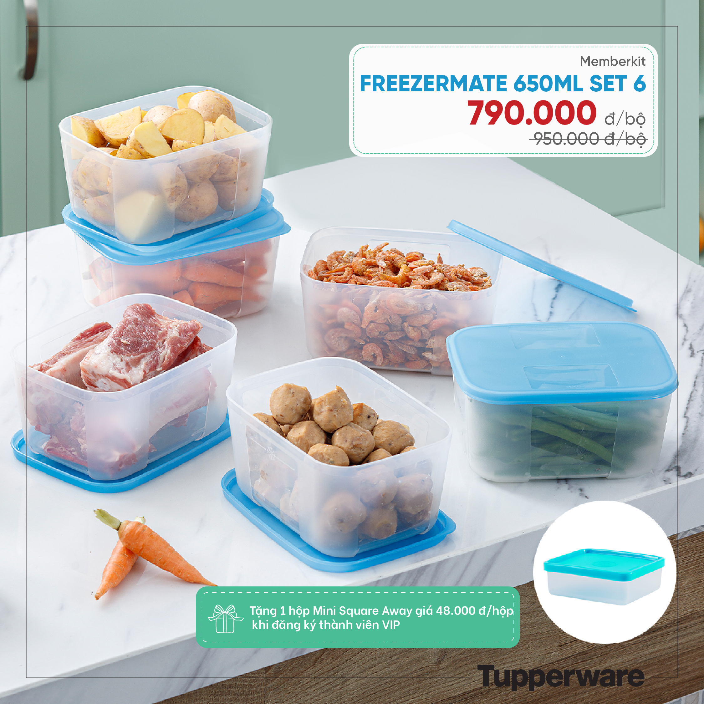 Bộ hộp trữ đông Freezermate set 6