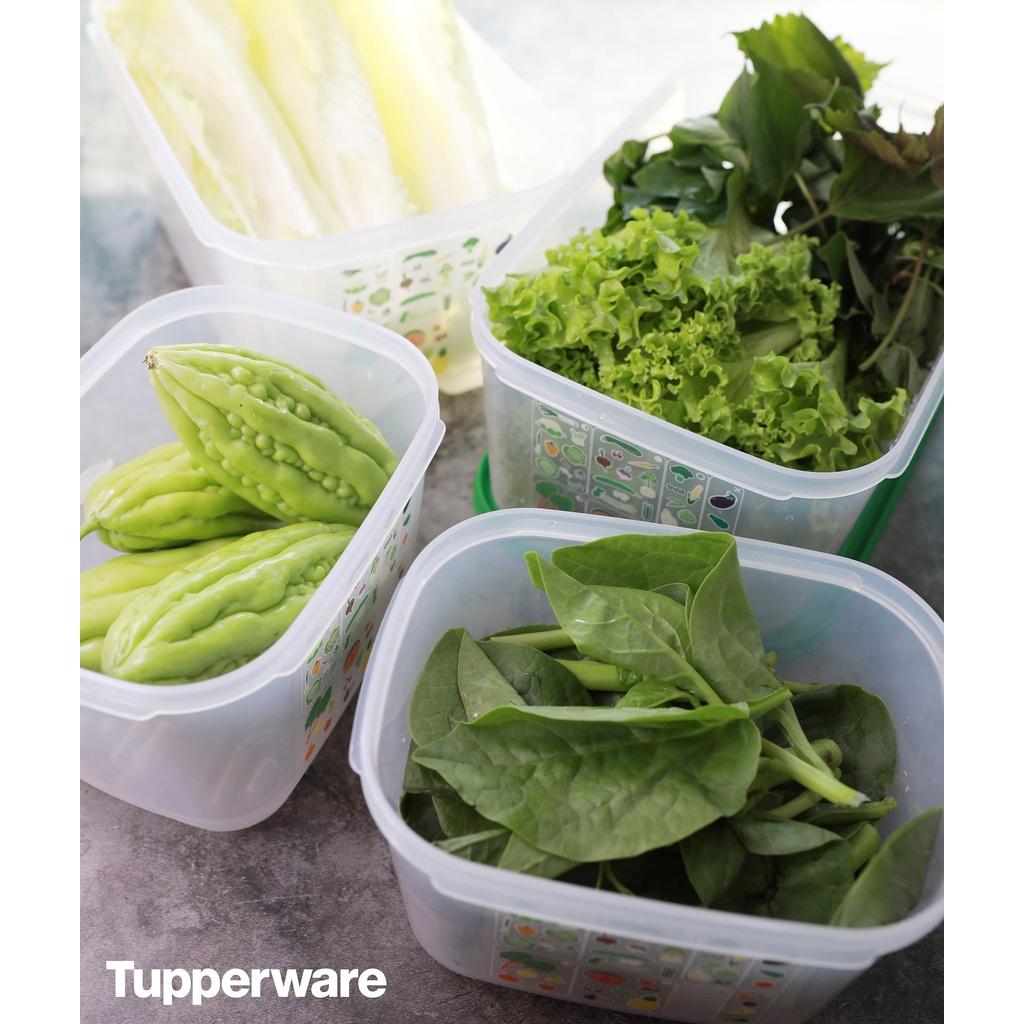 Bộ Hộp Trữ Mát Có Nút Hô Hấp Ventsmart 7 Tupperware