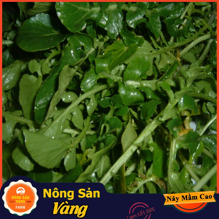 Hạt giống Xà Lách Xoong ( Gói 0,5 Gram ) - Nông Sản Vàng