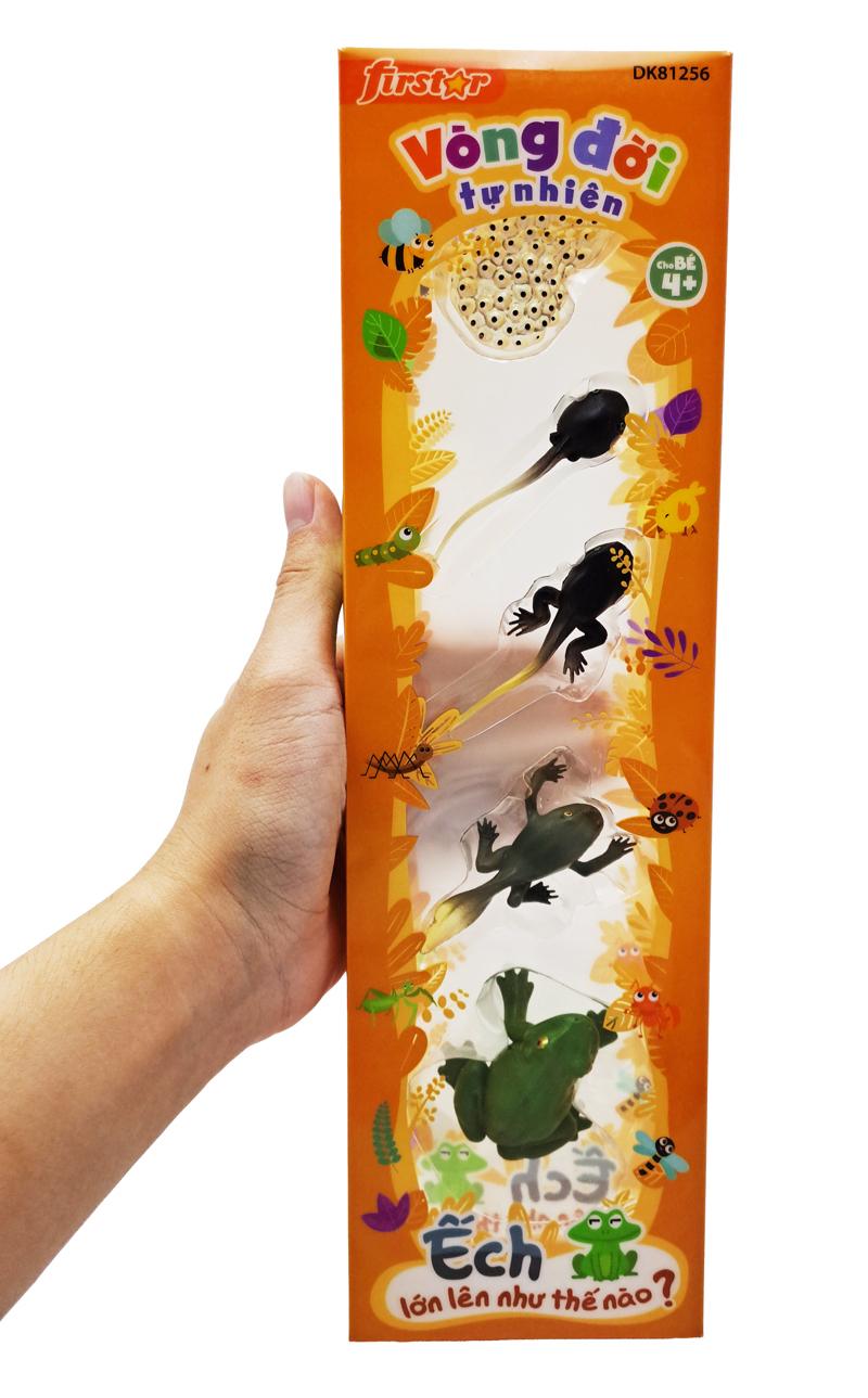 Đồ Chơi Mô Hình Vòng Đời Tự Nhiên - Ếch Lớn Lên Như Thế Nào? - Firstar DK81256