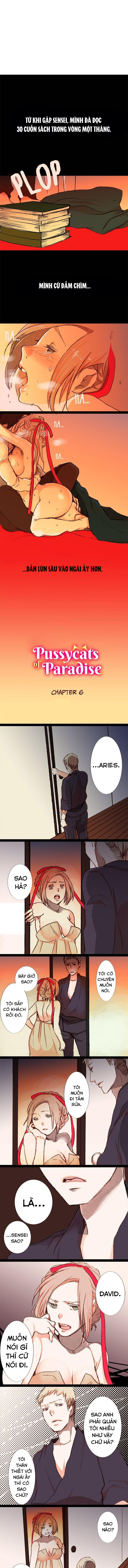 chú mèo đến từ thiên đường chapter 6.1 2