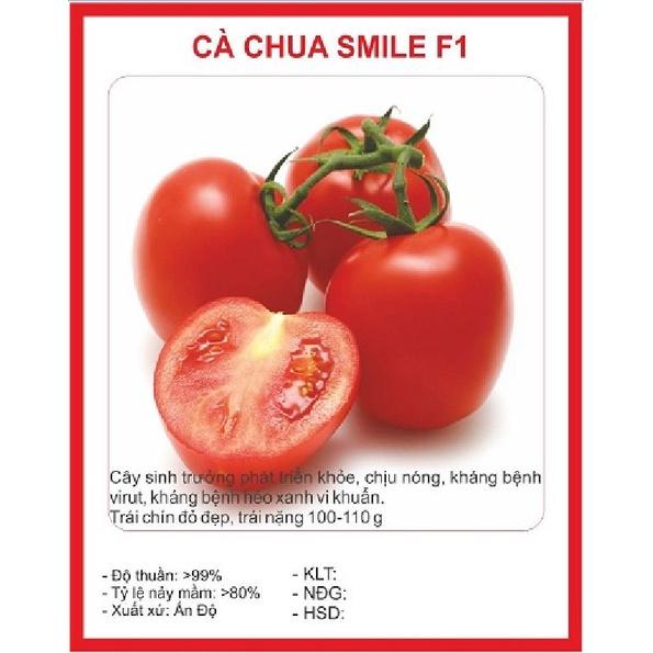 Hạt giống cà chua chịu nhiệt đỏ dể trồng f1 - Gói 20 hạt-tặng kèm gói phân bón lót
