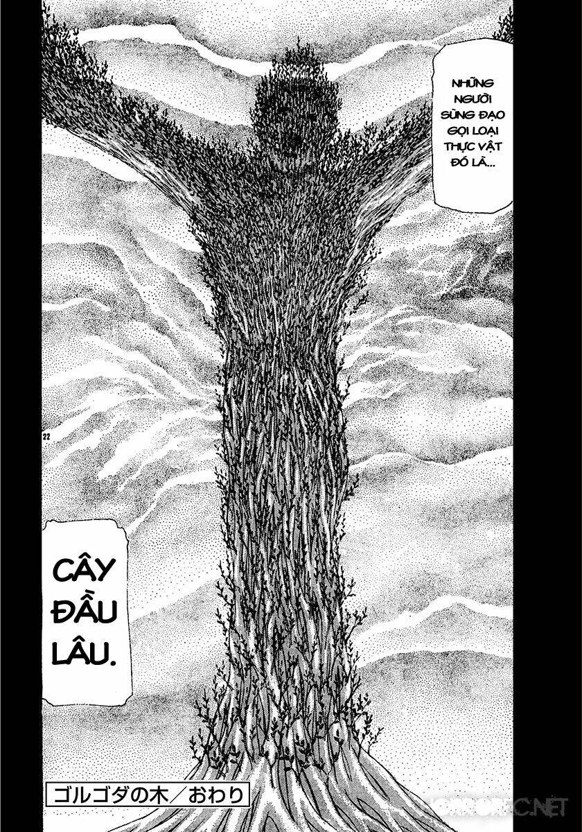 dangerous female teacher chapter 29 22