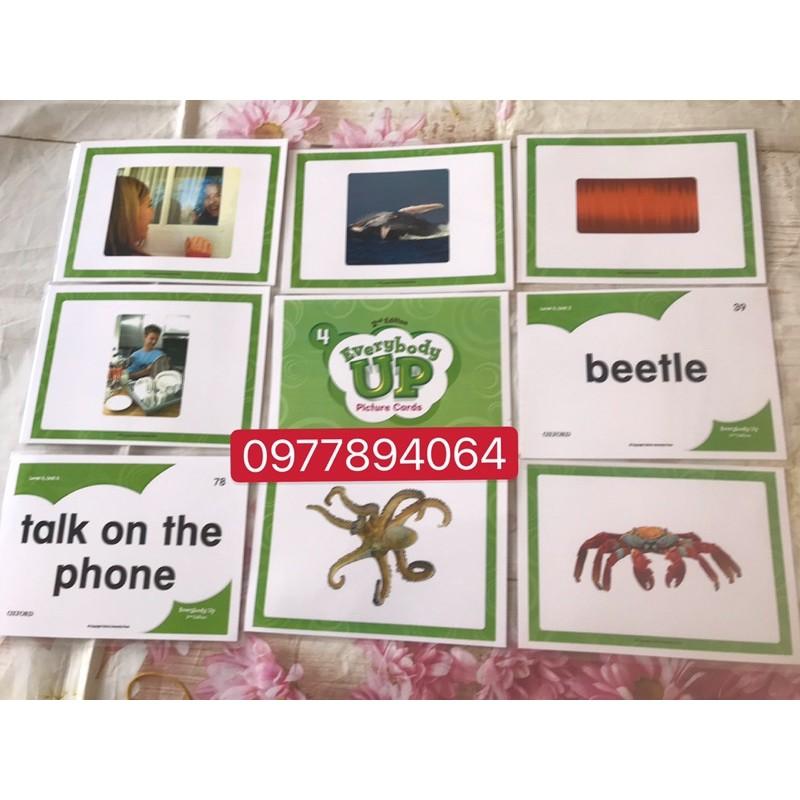 Thẻ Flashcards Tiếng Anh Everybody up 4 ép plastics bền đẹp