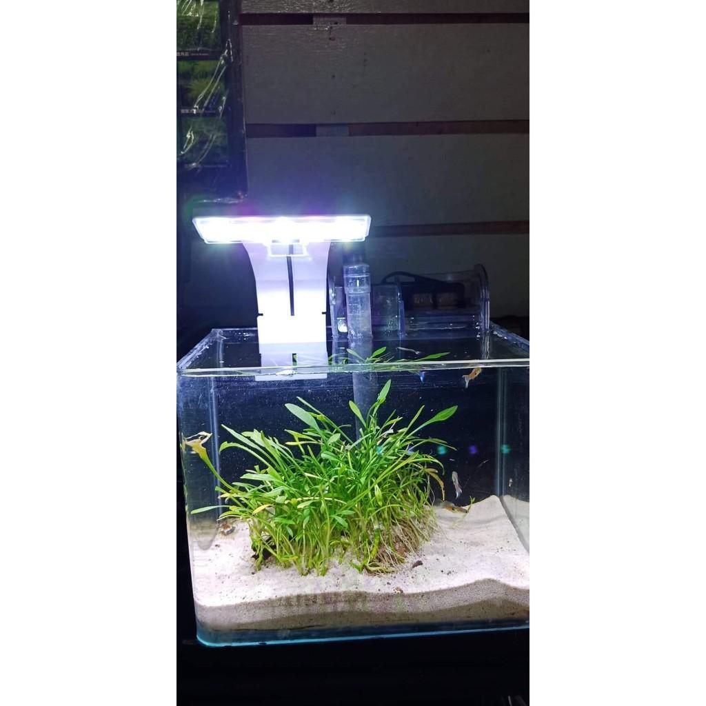 Led Kẹp QuanLong Siêu Sáng QL-X3