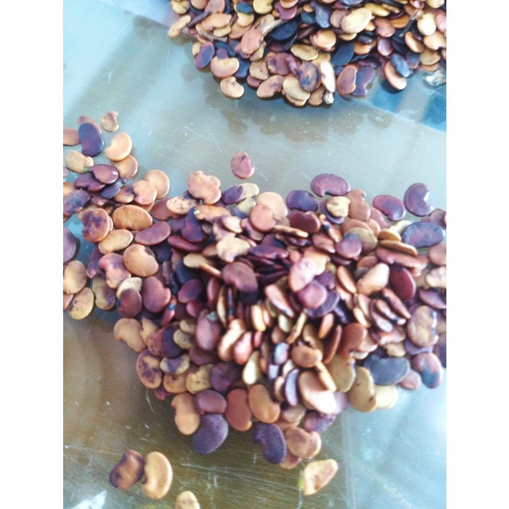Trắc Đỏ, Cẩm Lai Nam Bộ giống - 50 gram