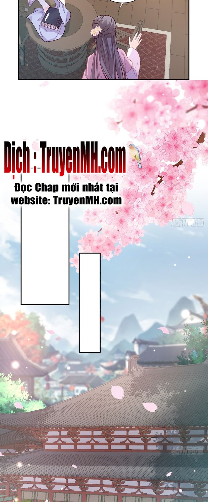 kiều mỵ phu lang, tại tuyến lục trà chapter 34 13