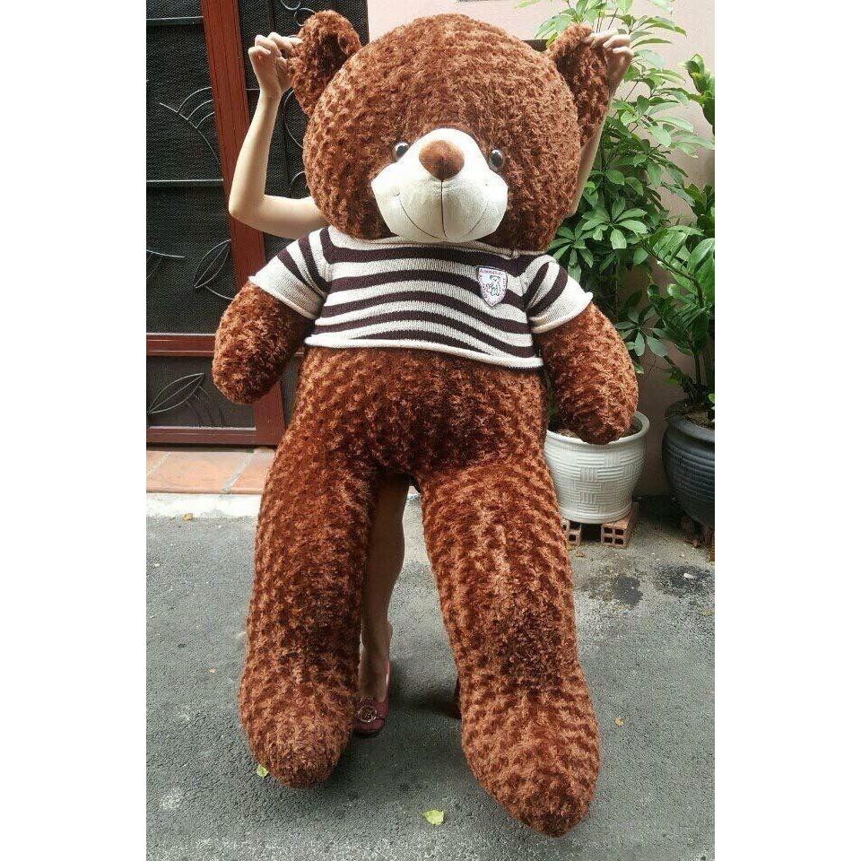 GẤU BÔNG TEDDY KHỔ VẢI 1M4 CAO 1M2 MÀU NÂU