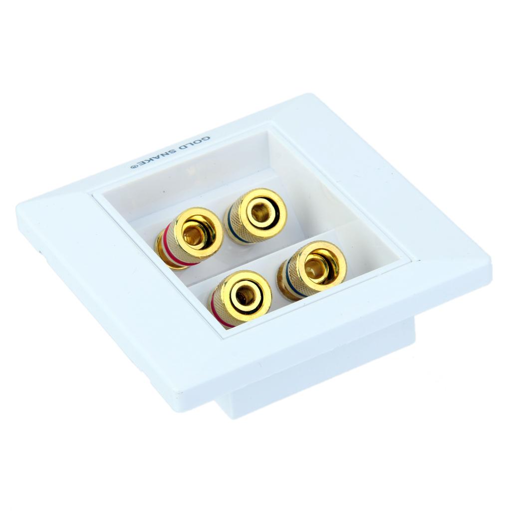 4 Count Speaker Wall Plate 2+4 Banana Binding Posts for Speaker Decor