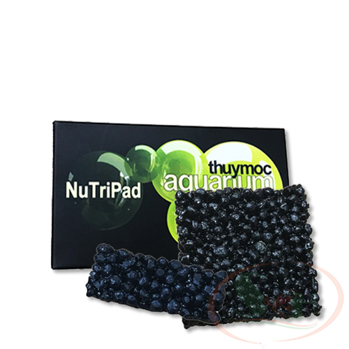 Giá thể trồng cây Thủy Mộc Nutripad dinh dưỡng đậm đặc ươm trồng cây thủy sinh