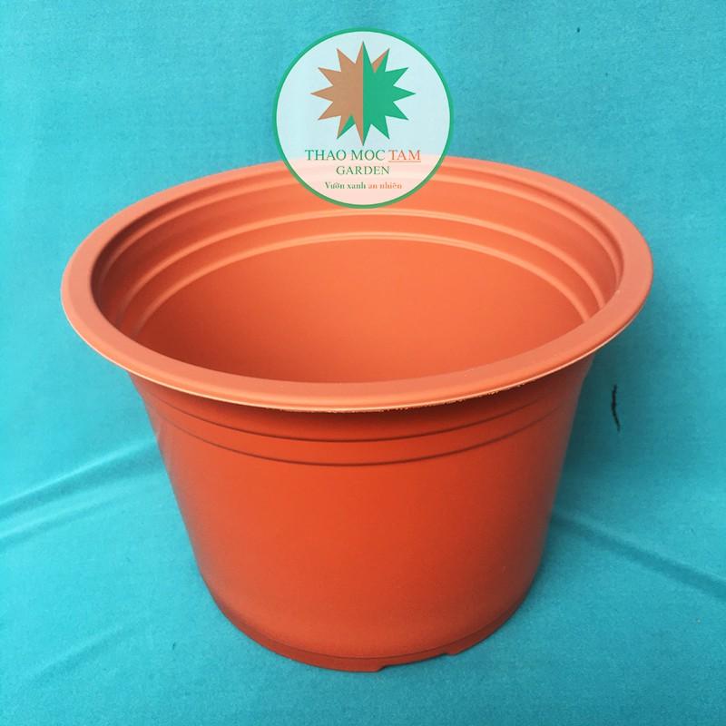 30c Chậu nhựa trồng hoa 23x16cm - Chậu nhựa trồng cây hoa cảnh
