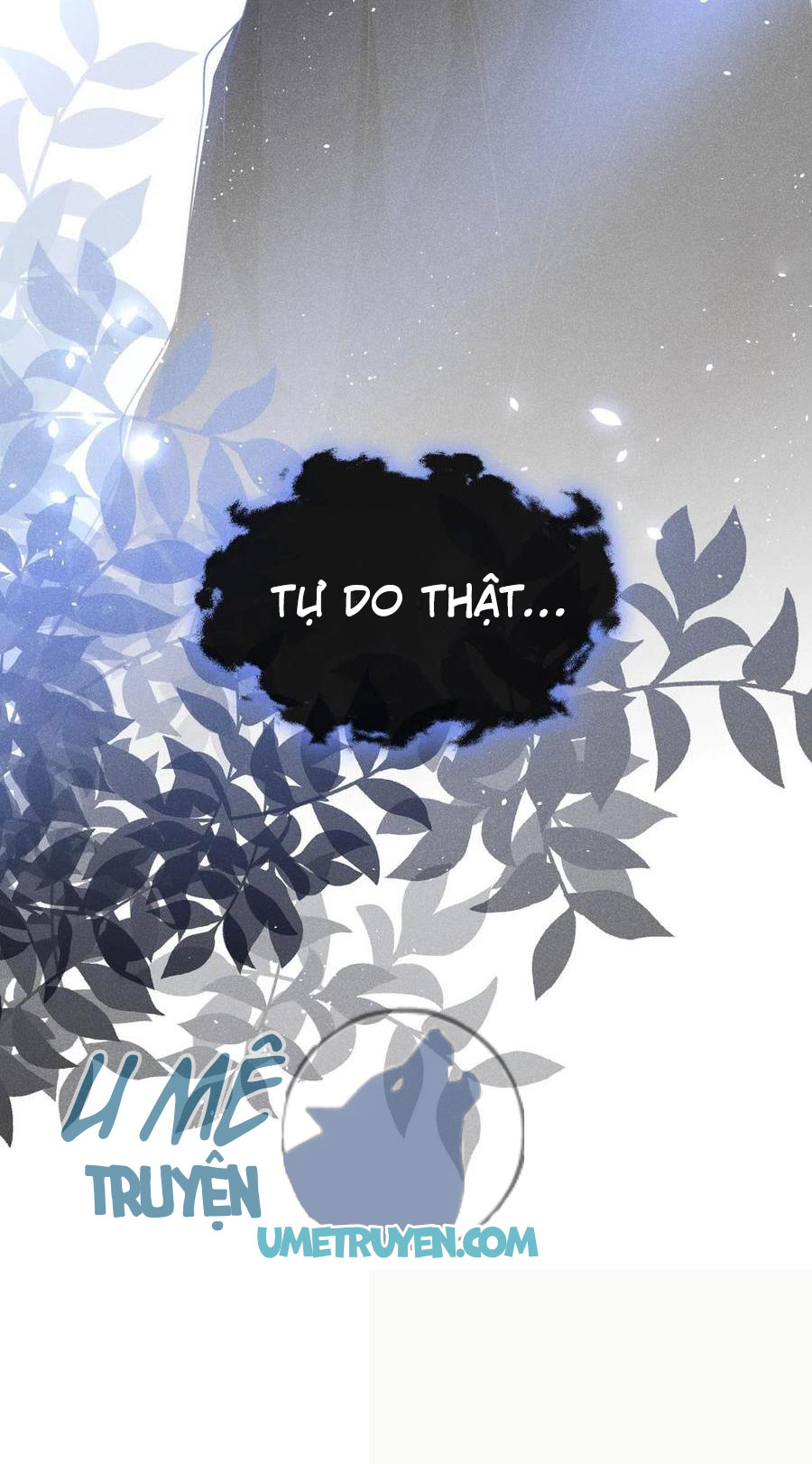 anh ấy gọi tôi là hắc liên hoa chapter 73 32