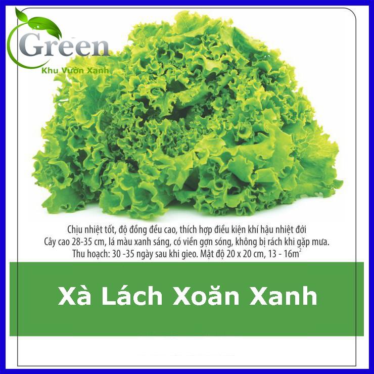 Hạt Giống Xà Lách Xoăn Xanh