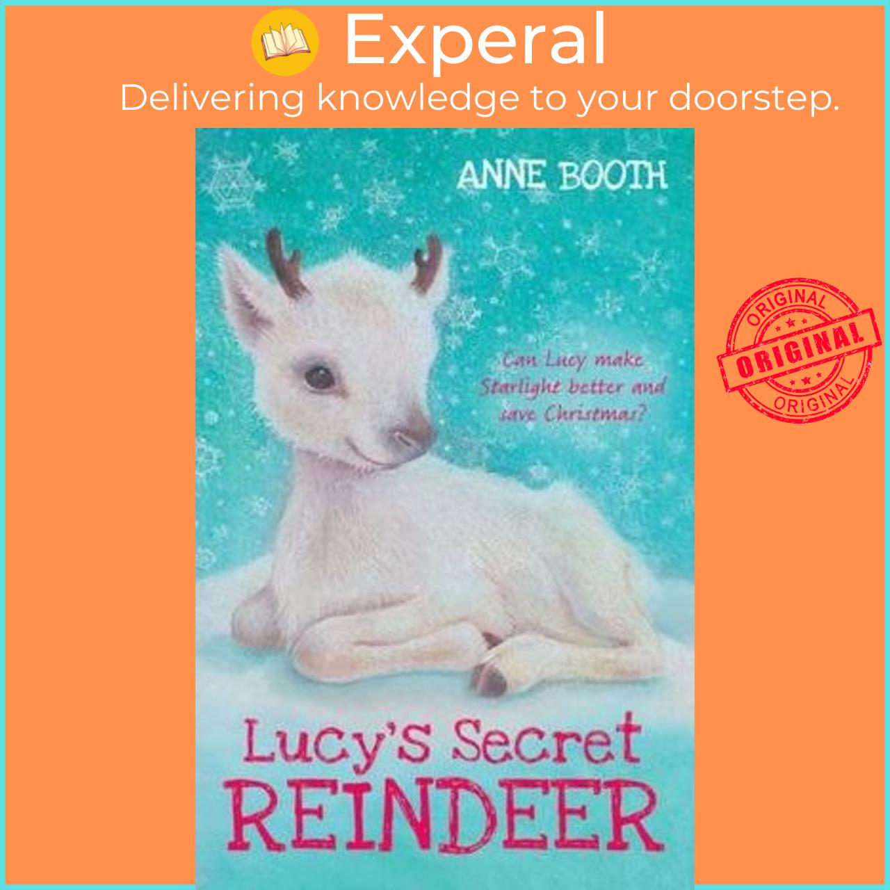 Sách - Lucy's Secret Reindeer by Anne Booth (UK edition, paperback)
