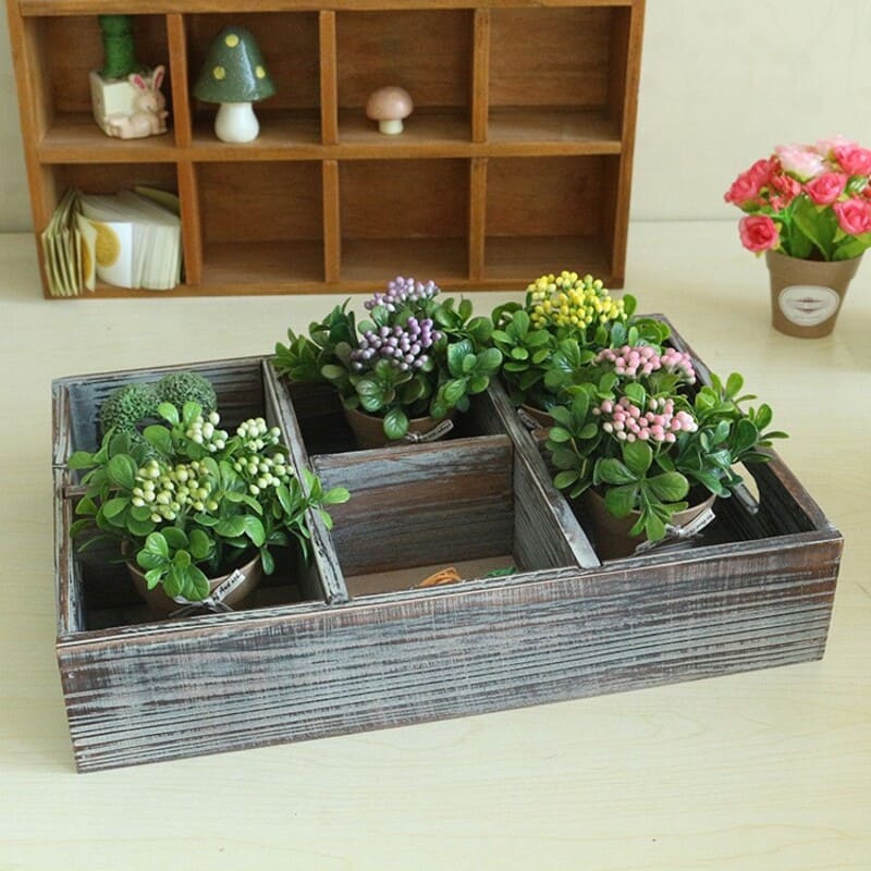 Chậu hoa mini trang trí deocor để bàn làm việc, bàn học xinh