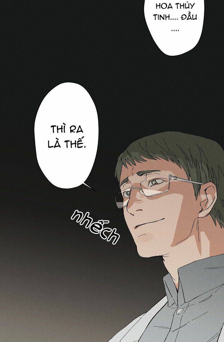 trốn tìm chapter 3 8