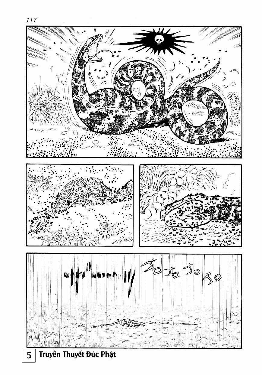 buddha - truyền thuyết đức phật chapter 25.1 8