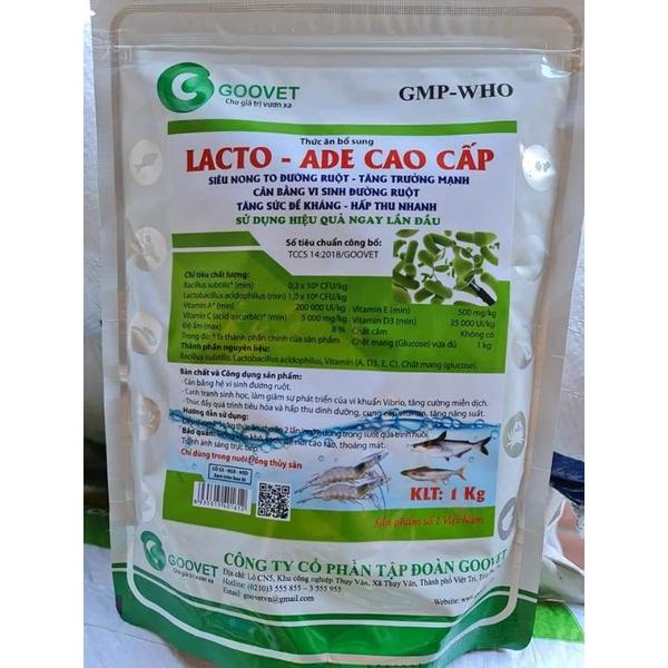 Lacto ade-siêu nong to đường ruột 1kg