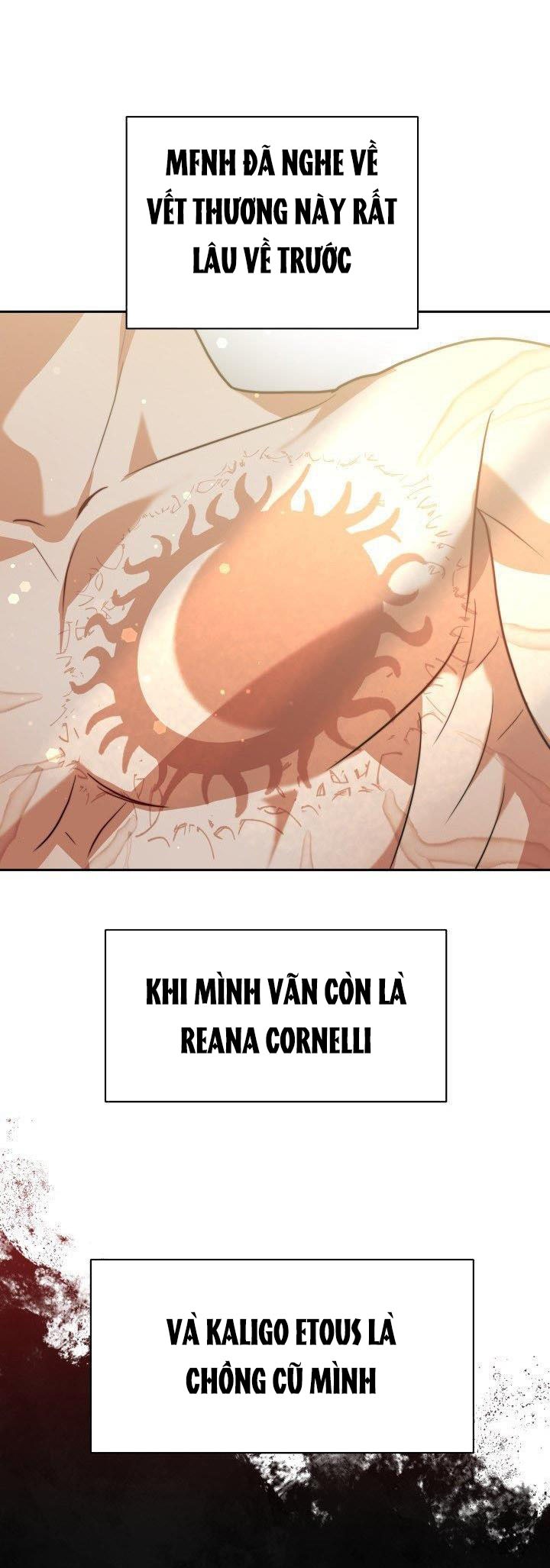 chồng cũ tôi là nam chính chapter 13.2 6