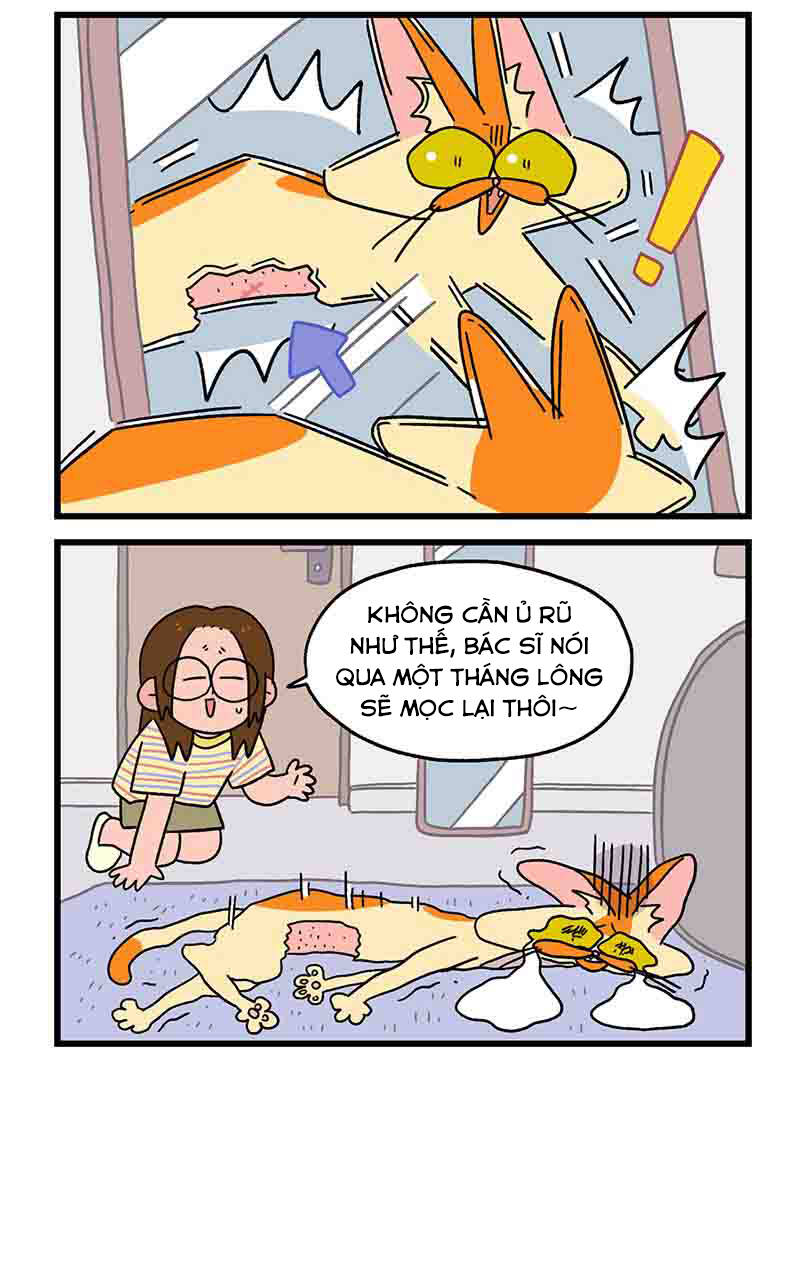 a mãn và mạch trà chapter 23.1 6