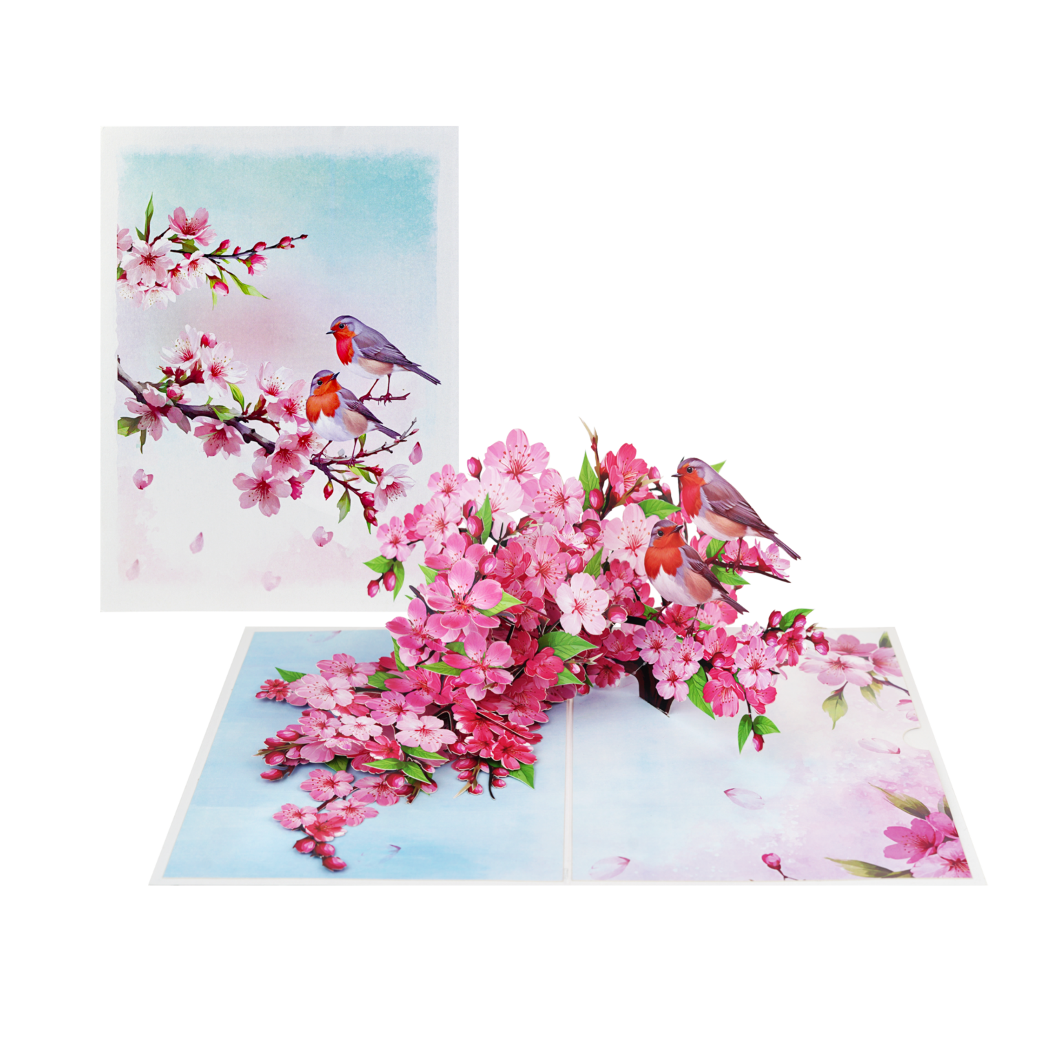 Thiệp 3D Pop Up Hoa Anh Đào &amp; Chim – Thiệp Nghệ Thuật, Thiệp Chúc Mừng, Sinh Nhật, Nhật Bản, F50