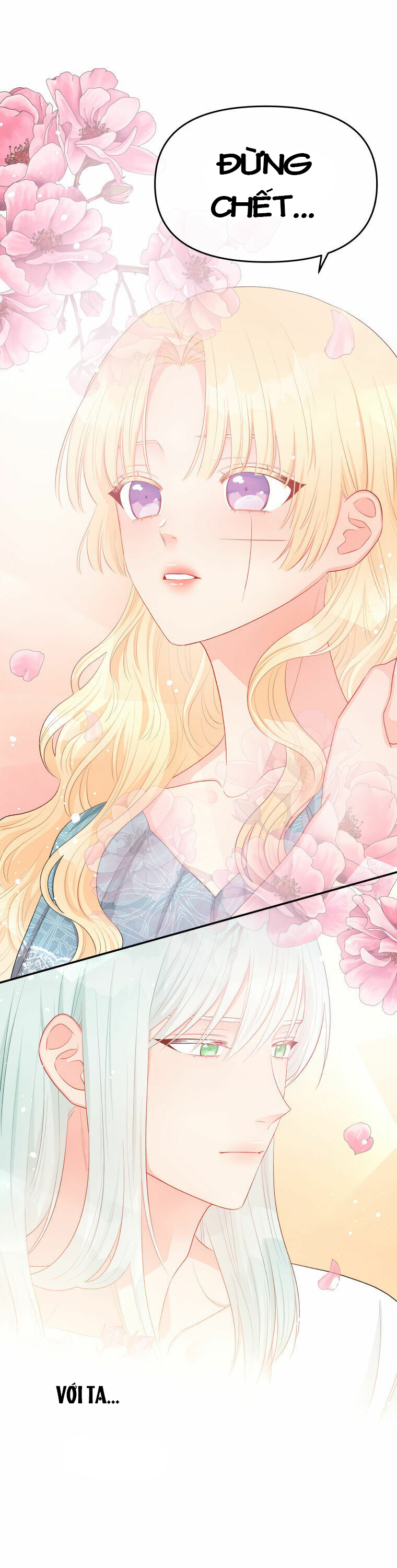 xin đừng trao tấm lòng vào cuốn sách ấy chapter 16 35