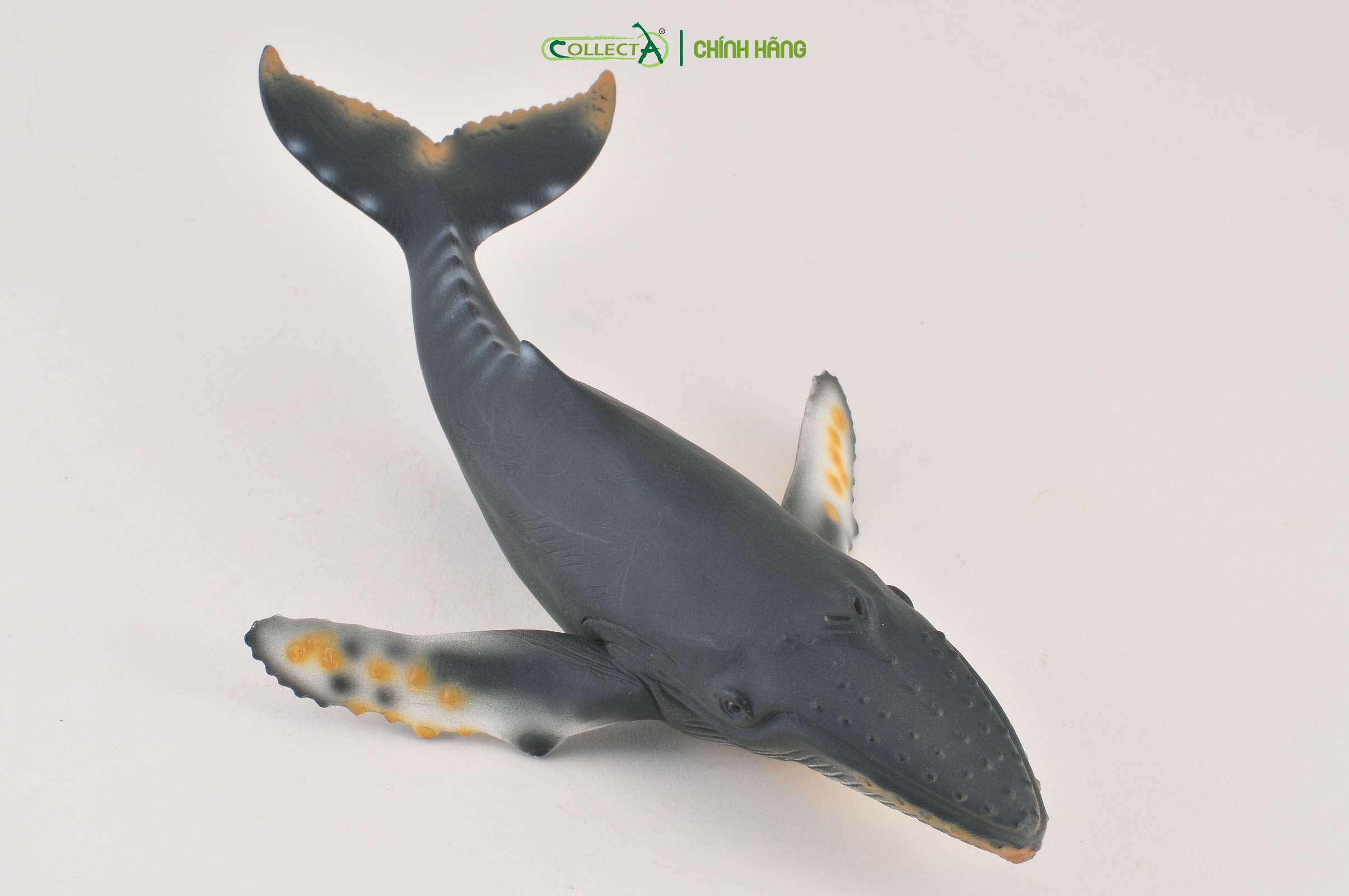 Mô hình thu nhỏ: Cá Voi Lưng Gù - Humpback Whale, hiệu: CollectA, mã HS 9652050[88347] -  Chất liệu an toàn cho trẻ - Hàng chính hãng