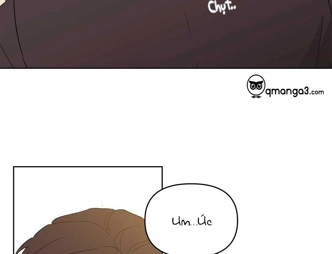 guide cấp b chapter 17 25