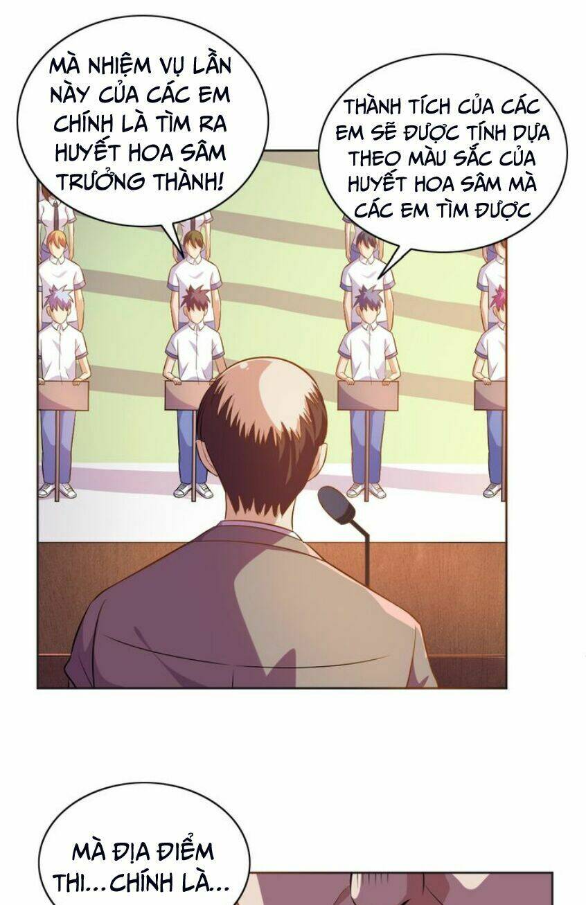 chín năm nghĩa vụ tu chân chapter 6 33