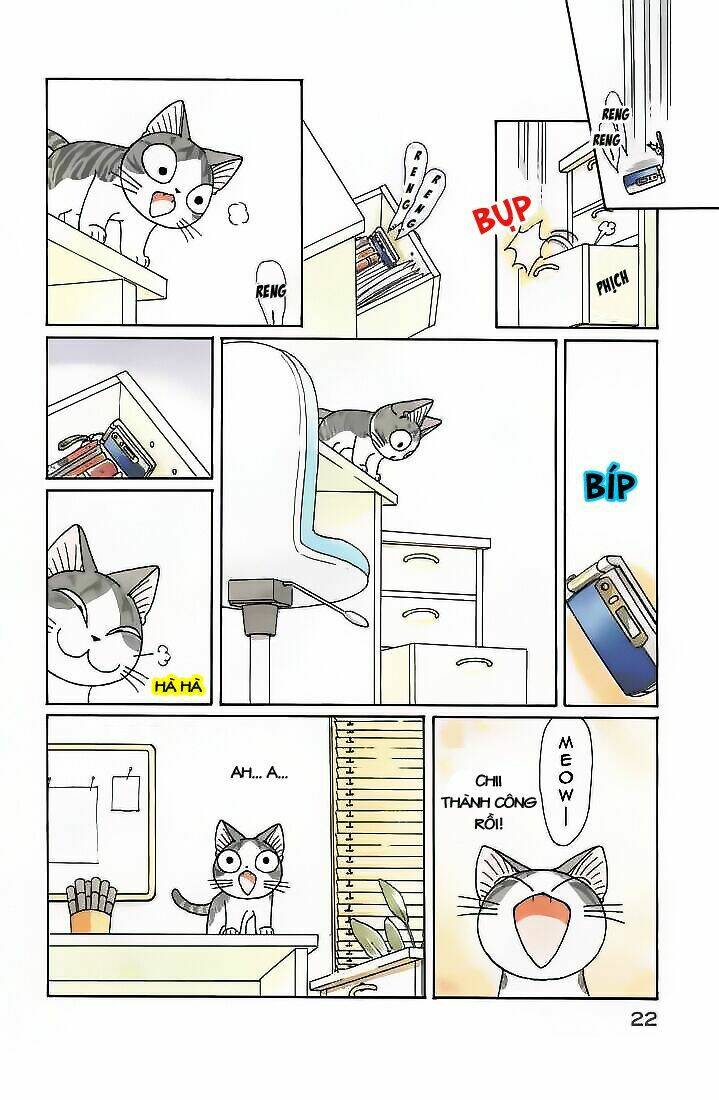 chi's sweet home chapter 77 6