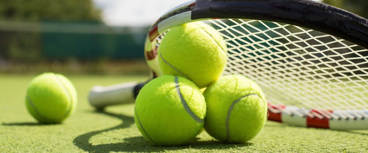 Hộp 3 trái banh Tennis cao cấp chất lượng cao