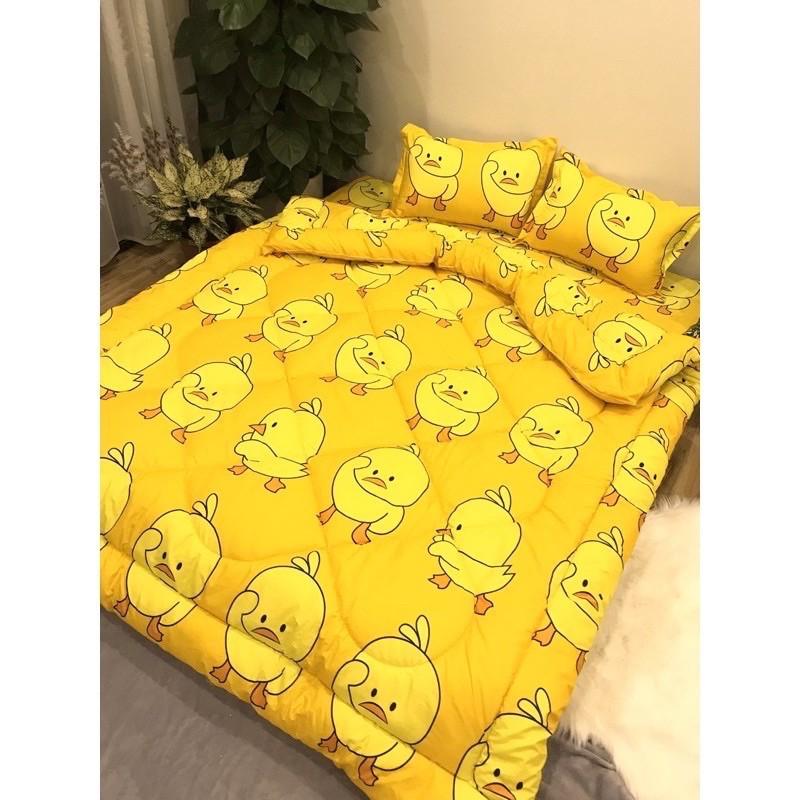 Chăn phao trần bông dày loại 1 bông hơi siêu nhẹ 1m8-2m cao cấp giữ nhiệt tốt đường kim mũi chỉ bền đẹp