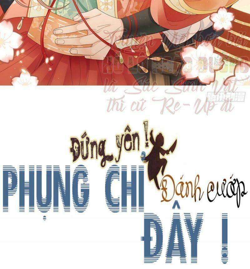 đứng yên ! phụng chỉ đánh cướp đây chapter 32 2