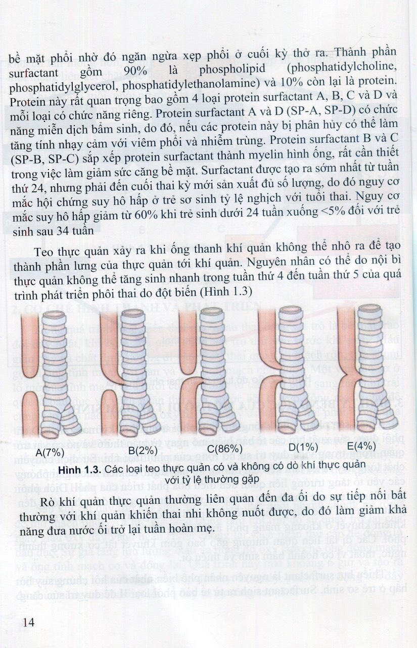 Sách - Tiếp cận chẩn đoán và đ.iều trị bệnh hô hấp trẻ em (Y)