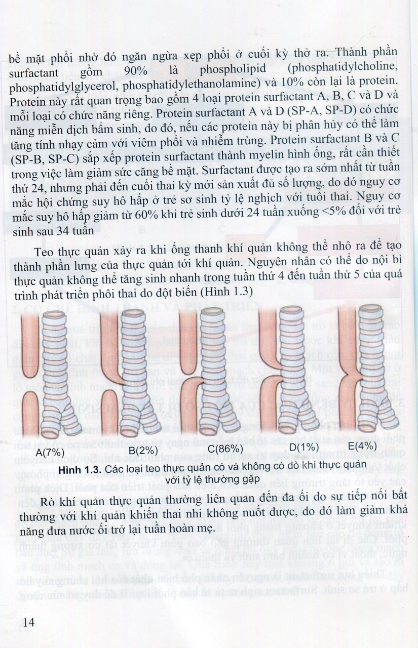 Sách - Tiếp cận chẩn đoán và Đ.trị Bệnh hô hấp trẻ em