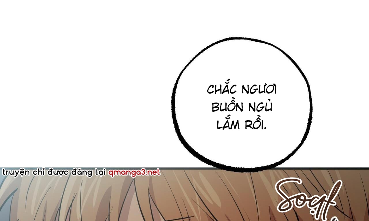 NHỮNG CHÚ THỎ CỦA HAPYPY chapter 52