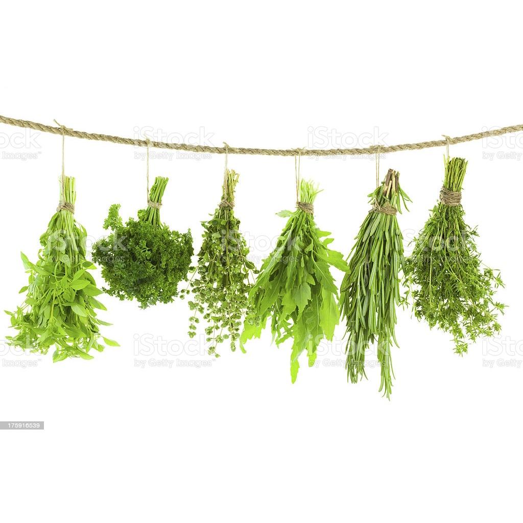 Cuộn dây phơi quần áo thông minh, buộc đồ siêu dai chiều dài 10m. đường kính 3mm