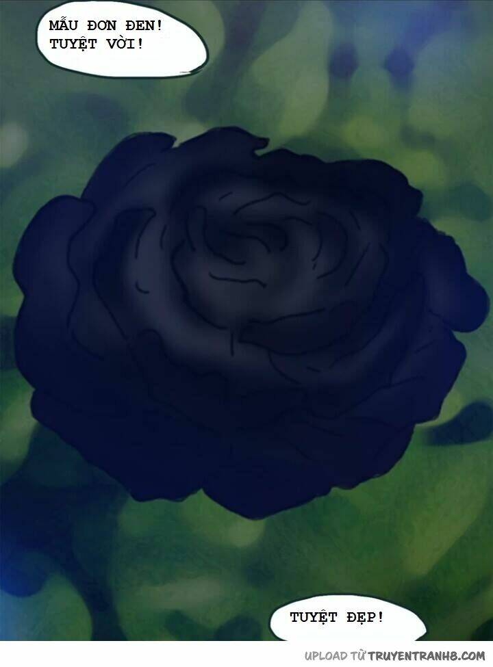 hoa mẫu đơn đen chapter 7 10